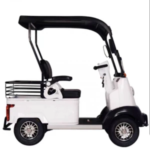 Small Low Speed Electric Recreational 4 Wheeel Vehicle with Back Luggage Cage and 2 Seatings Led Headlight & Steering