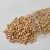 Import Pure and Natural Wheat Grains High-Protein Whole Wheat Ideal for Flour and Cereal Production from Malaysia