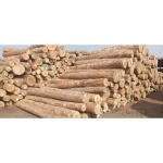 Premium Ekki Wood Logs Bulk Supply High Quality Hardwood Export Grade Material