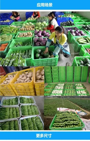 Foldable boxes for different vegetable