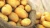 Import Potato from Algeria