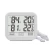 Import digital dual probe thermometer hygrometer from China