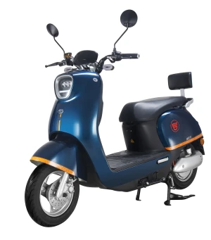 Electric Motorcycle Electric Scooter Adult Electric Student Scooter