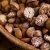 Import Betel nut / Areca nut from Indonesia