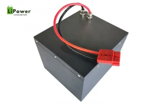 Deep Cycle Lithium Ion Storage Battery Pack Lifepo4 48V 100Ah For Solar System