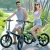 Import 20 inch foldable Electric city Bike: light weight /7.8 Ah Battery /350 W Motor from China