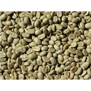 green robusta/ arabica coffee beans for sale