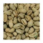 Vietnam  Robusta Coffee Green Beans For Global Export Best Price Offer