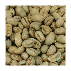 Vietnam  Robusta Coffee Green Beans For Global Export Best Price Offer