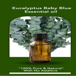 eucalyptus baby blue essential oil