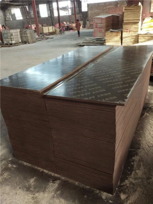 610x2500mm shuttering board plywood