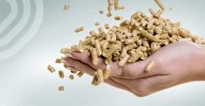 wood pellets, wooden boards and lumber, plywood, paper