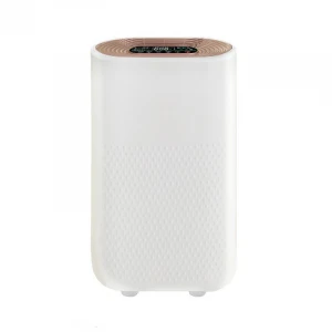 2021 New H11/H13 HEPA filter air purifier Ionizer design 2 in 1 room house portable air cleaner