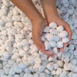 White Pebbles Stone
