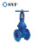Import FBE Coated PN16 Rising Stem Resilient Seated Ductile Iron Flanged Gate Valve Factory from China