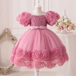 Girls cross-border dress Princess dress Little child dress Baby Flower bud host piano costume Children's dress