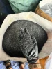 Premium Coconut Shell Activated Carbon