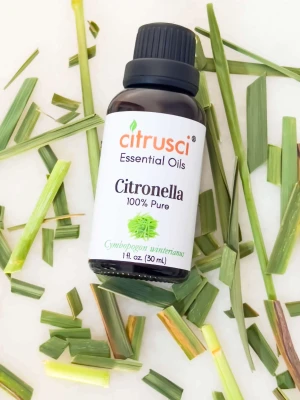 Citronella Essential Oils