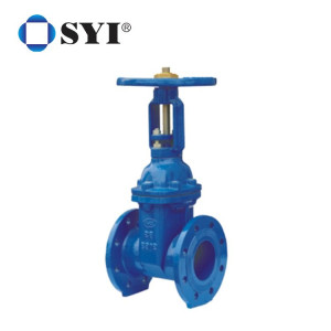 FBE Coated PN16 Rising Stem Resilient Seated Ductile Iron Flanged Gate Valve Factory