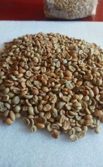 Arabica or Robusta