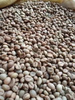 Robusta Coffee Beans /  Robusta Buntu sosang / Green and roasted coffee beans