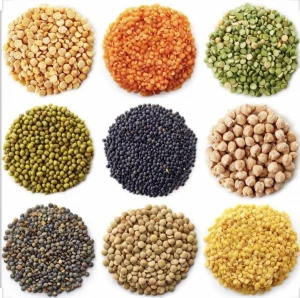 All the varieties of Lentils and Seeds
