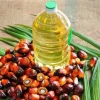 Crude Palm and Kernel Oil for sale | Cameroon Palm oil exporters