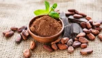 Colombian Cacao Beans