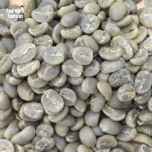 Arabica Coffee Beans Gayo Full Washed