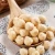 Import direct sales Natural Quality Raw hazelnuts Nuts from South Africa