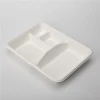 100% biodegradable disposable bagasse food tray bagasse vegetable trays