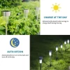 10Pack Solar Outdoor Pathway Lights, Stainless Steel LED Landscape Garden Lights for Pathway, Walkway, Patio, Yard, Driveway
