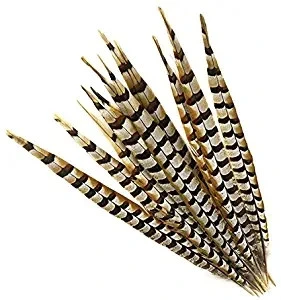 110cm Gold Pheasant Feather Reeves Pheasant Tail Feather