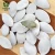 Import 11cm &amp;13cm Organic snow white pumpkin seeds market price from China
