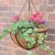 Import 12/14 inch hot selling hanging basket half round hanging basket flower hanging basket with coco and chain from China
