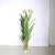 Import 160cm real touch leaves artificial strelitzia plant bonsai customized wholesale from China
