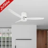 1stshine Energy Saving Ceiling Fan Light 52 Inch Smart DC 220V Smart Ceiling Fan with Light and Remote Control