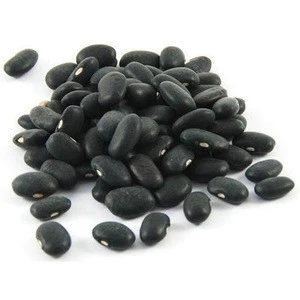 2018-2019 new crop black kidney bean for sale