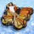 Import 2018 new custom design factory wholesale hot summer swimming inflatable float water sports toys colorful animal shape pool float from China