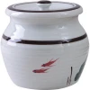 2020 New design Modern Ceramic Kitchen 300ml Storage Flavor Jar