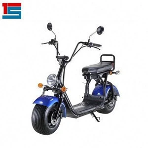 2021 Citycoco Adult Fat Tire Motor cycle Electric Bicycle 1500w With Other Electric Bicycle Parts