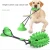 Import 2021 new natural rubber pet sucker leaking molar ball pet chew toy ball from China