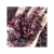 Import 2022 Dried Hibiscus Flower / Dried Roselle Best Price from Thailand
