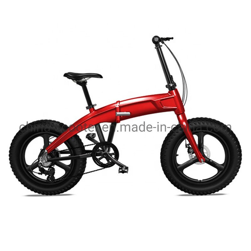 20&prime; &prime; ; *4.0 Tyre Folding E-Bike 350W Electric Bike with Magnesium Wheel
