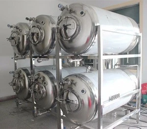 300l horizontal fermenting equipment