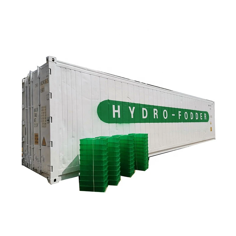 40ft Barley Fodder Container | Hydroponic Green Fodder Machine For Dairy Farm