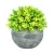 Import 4PCS Mini Plastic Artificial Plants Potted Plants Artificial Topiary Shrubs Grass Flower For Desk from China