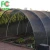 50% agriculture low price HDPE green sun shade net,