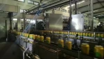 500 ml pineapple carbonated beverage non alcohol canned drink