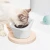 Import A0742 Ceramic Raised Cat Food Bowl Adjustable Pet Feeder Slanted Elevated Pet Bowl from China